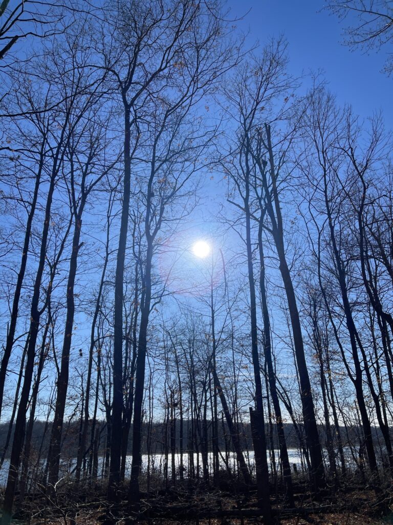 Forest Bathing img 7301