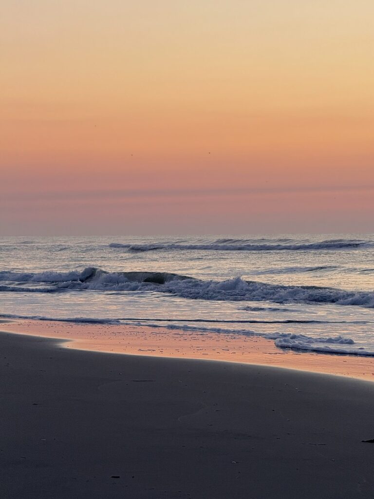 Peace img 4379